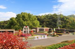 城市角落的星河：当墓园成为生命的另一种花园