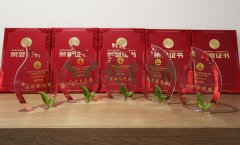 “尊龙集团杯”浙江省节地生态安葬设计作品奖