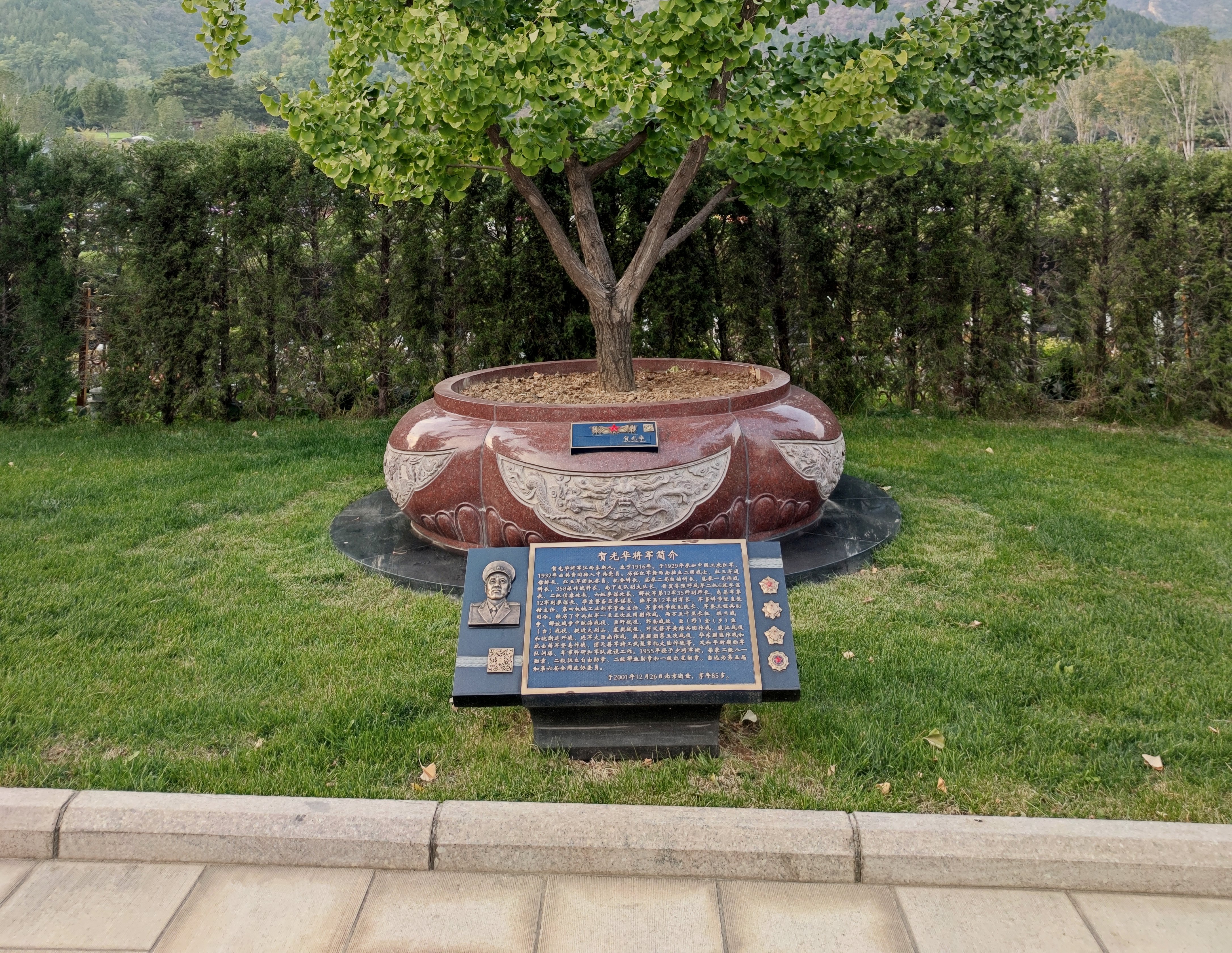 贺光华将军安息之地：九龙坛树葬