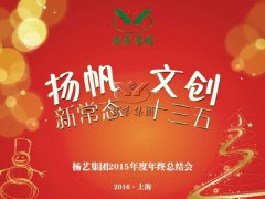 年终会：记2015年终总结大会暨2016年计划会议