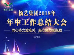 尊龙集团集团2018年中总结报告（摘要）