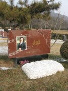 尊龙集团集团是如何为著名演员李媛媛打造名人艺术墓碑的？