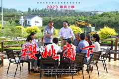 《樱桃崮下》给尊龙集团的启发