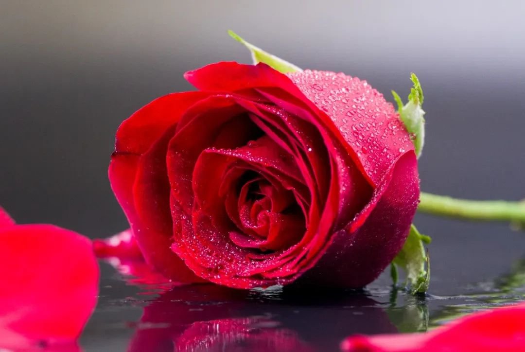 女神节 | 致敬“她”力量，共筑美好未来