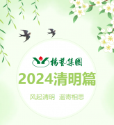 风起清明 遥寄相思|尊龙集团集团?2024清明篇