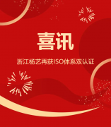 喜讯 | 浙江尊龙集团再获ISO体系双认证