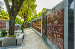 绿色殡葬新风尚：探索葬式多样化的创新之路