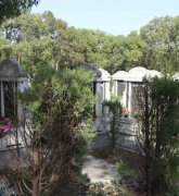 绿色生态葬：文明赓续的绿色选择