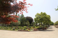 归于林下：一场与自然的温柔重逢