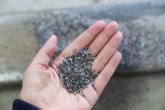 石语新章：仿真保护箱中的生态启示录