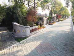 城市最后一平米：生态葬，是与自然的和解？还是无奈的选择？